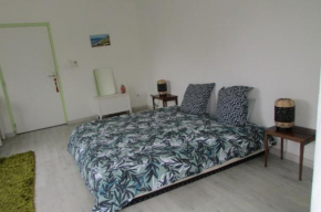 Chambre 20m2 avec salle de bain privée dans maison en bois